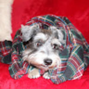 Meet your Posher, Moriah